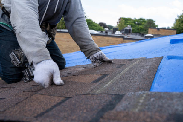 Best Emergency Roof Repair  in Fobes Hill, WA