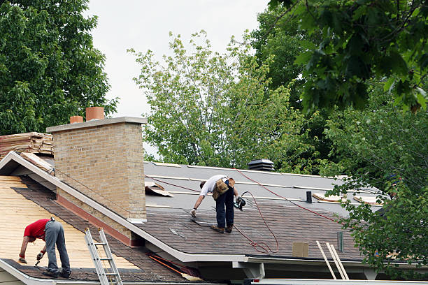 Best Roof Repair Services  in Fobes Hill, WA